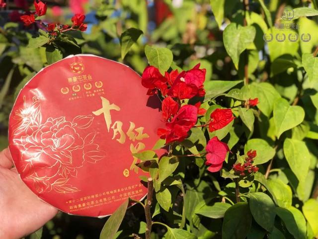 九月奇跡，十月紅花